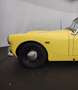 Austin-Healey Sprite Gelb - thumbnail 10