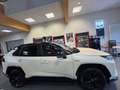 Toyota RAV 4 HYBRID Blanc - thumbnail 8