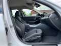 BMW 318 i Touring Aut. | SPORTSITZE Weiß - thumbnail 35