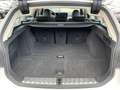 BMW 318 i Touring Aut. | SPORTSITZE Weiß - thumbnail 15