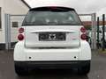 smart forTwo 451*LEDER*CARPLAY*KAMERA*KLIMA Weiß - thumbnail 6