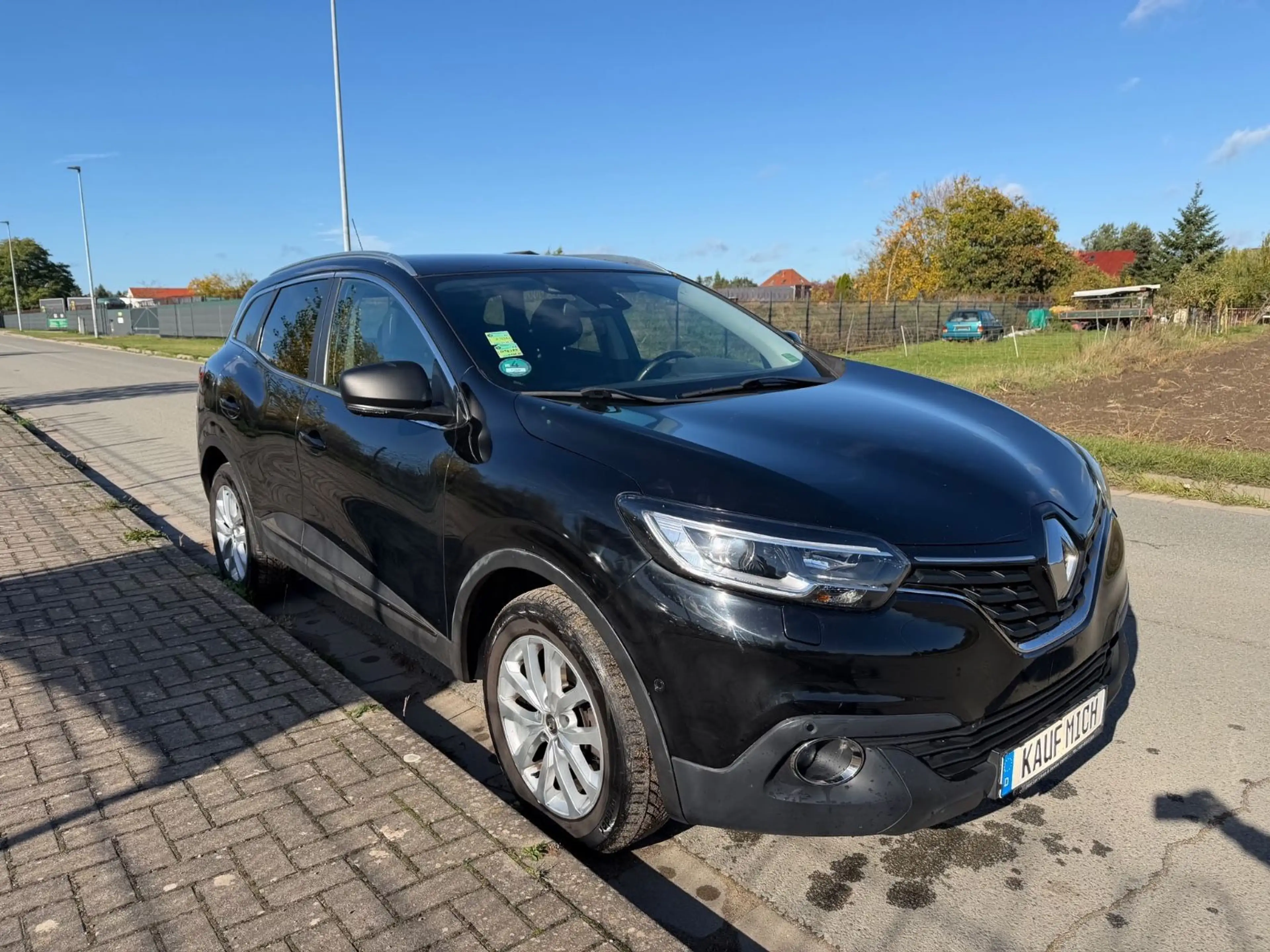 Renault Kadjar Business Edition — photo 3