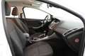 Ford Focus Turnier Champions Edition*AHK*Klima*Tempom Blanc - thumbnail 12