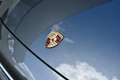 Porsche Cayenne 3.0 E-Hybrid Panoramadak / BOSE / Homelink Grijs - thumbnail 10