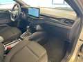 Ford Focus CC Focus SW 1.0 ecoboost h ST-Line Design 125cv power Argento - thumbnail 10