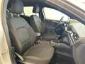 Ford Focus CC Focus SW 1.0 ecoboost h ST-Line Design 125cv power Argento - thumbnail 11