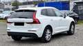 Volvo XC60 T5 #Momentum#AWD#Stdhz#Wartung Volvo#4xSHZ bijela - thumbnail 13