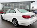 Mercedes-Benz E 350 d BLUE TEC/PANORAMA/AHK/PDC/LED/1.HAND Blanc - thumbnail 2