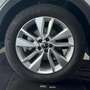 Volkswagen T-Cross 2024 1.0 tsi Style 115cv dsg Gris - thumbnail 8