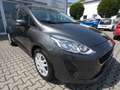Ford Fiesta Trend Gris - thumbnail 1