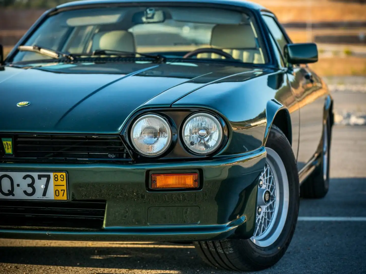 Jaguar XJS 5.3 HE Grün - 2