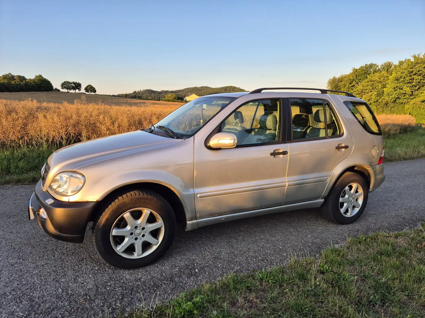 Mercedes-Benz ML 270 CDI Gris - 2