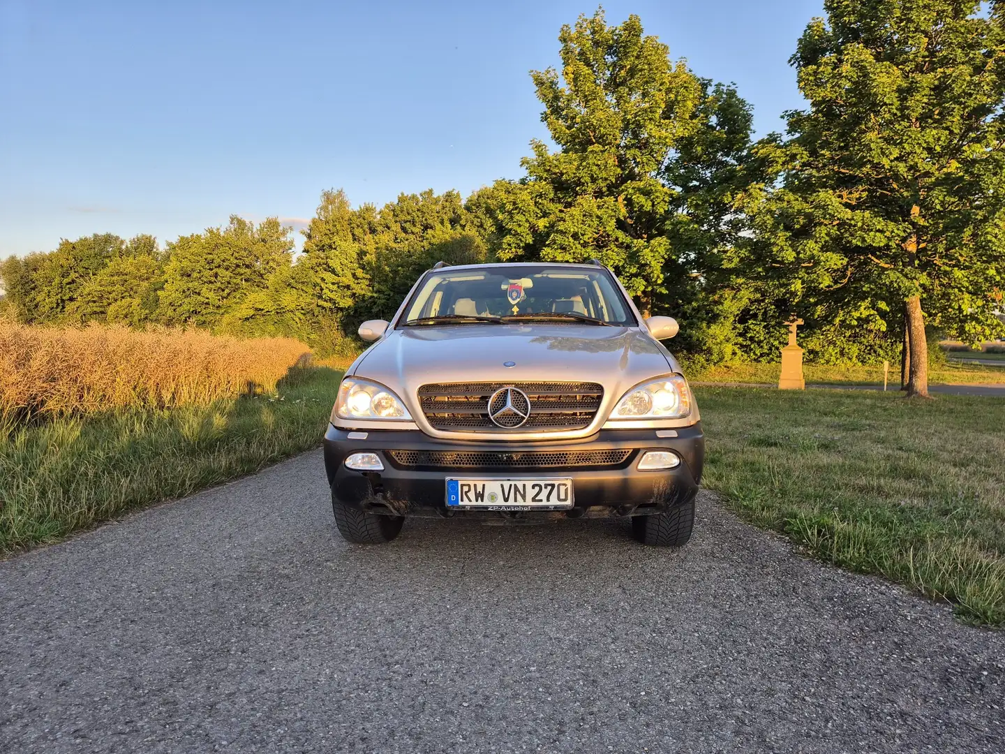 Mercedes-Benz ML 270 CDI Gris - 1