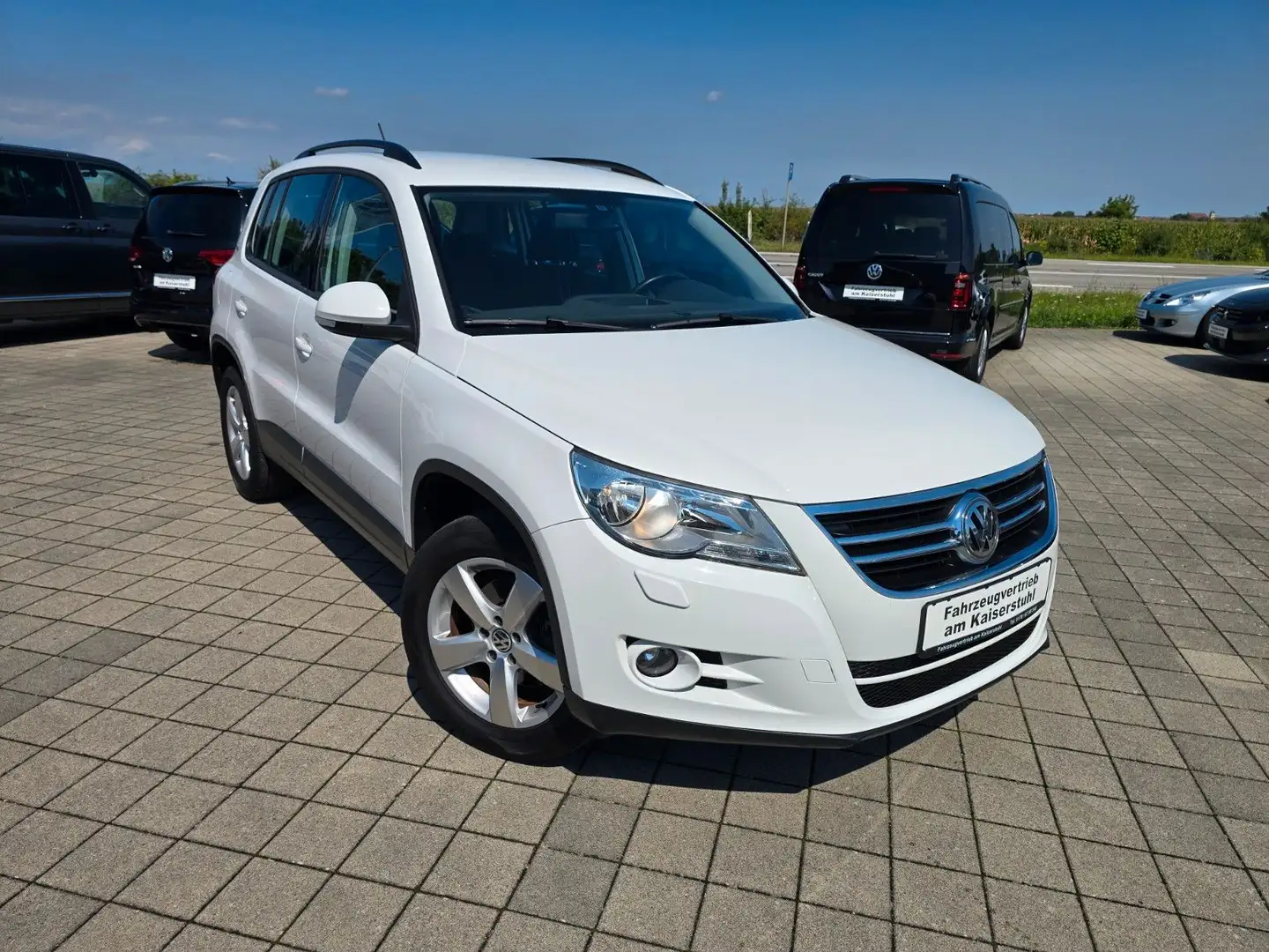 Volkswagen Tiguan Freestyle BMT Kamera SHZ Weiß - 1