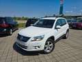 Volkswagen Tiguan Freestyle BMT Kamera SHZ Weiß - thumbnail 3