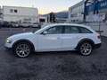 Audi A4 allroad 3.0 TDI (180kW) Weiß - thumbnail 3
