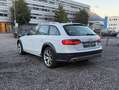 Audi A4 allroad 3.0 TDI (180kW) Weiß - thumbnail 8