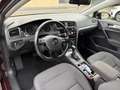 Volkswagen Golf R abbit 1,0 TSI DSG Violett - thumbnail 7