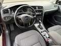 Volkswagen Golf R abbit 1,0 TSI DSG Violett - thumbnail 6