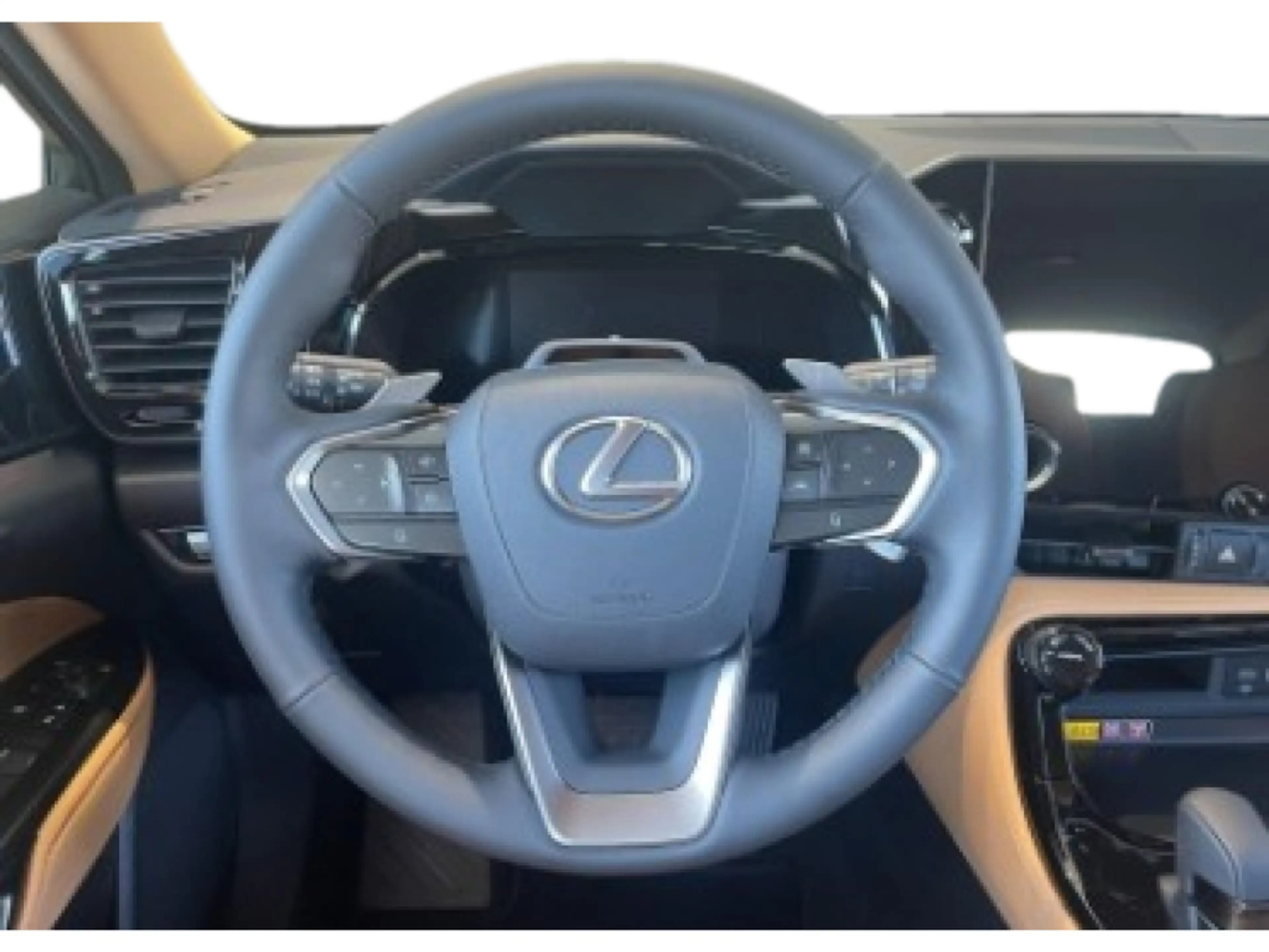Lexus NX 450h+ NX450+ 2,5l Plug-in Executiv — photo 10