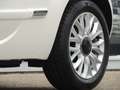 Fiat 500 TwinAir 81PK Lounge | Apple/Android Carplay | Crui Weiß - thumbnail 13