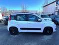 Fiat New Panda Lounge White - thumbnail 7