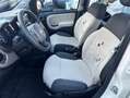 Fiat New Panda Lounge Wit - thumbnail 12