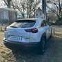 Mazda MX-30 EV 35.5kWh MAKOTO Premium Paket Weiß - thumbnail 7