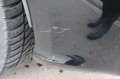 Audi SQ5 3.0 TDI QUATTRO B&O ABSTANDSTEMP PDC DriveSe Schwarz - thumbnail 30