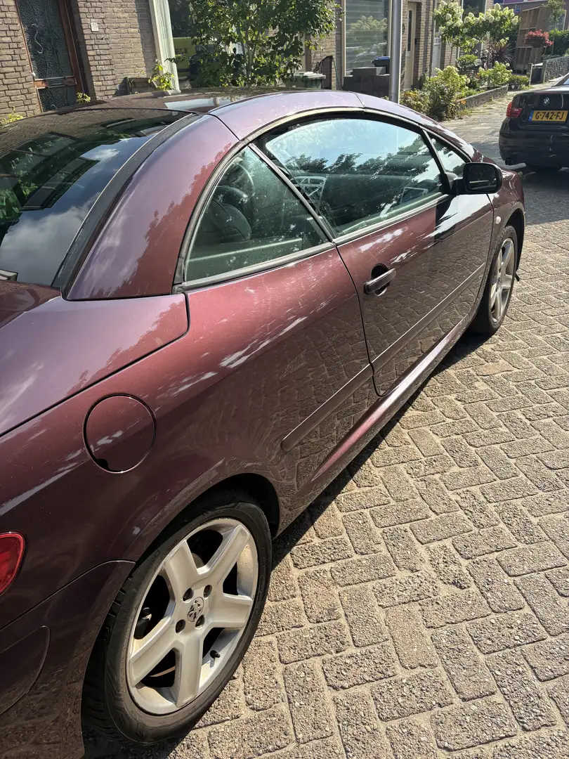 Peugeot 307 2.0-16V Paars - 1