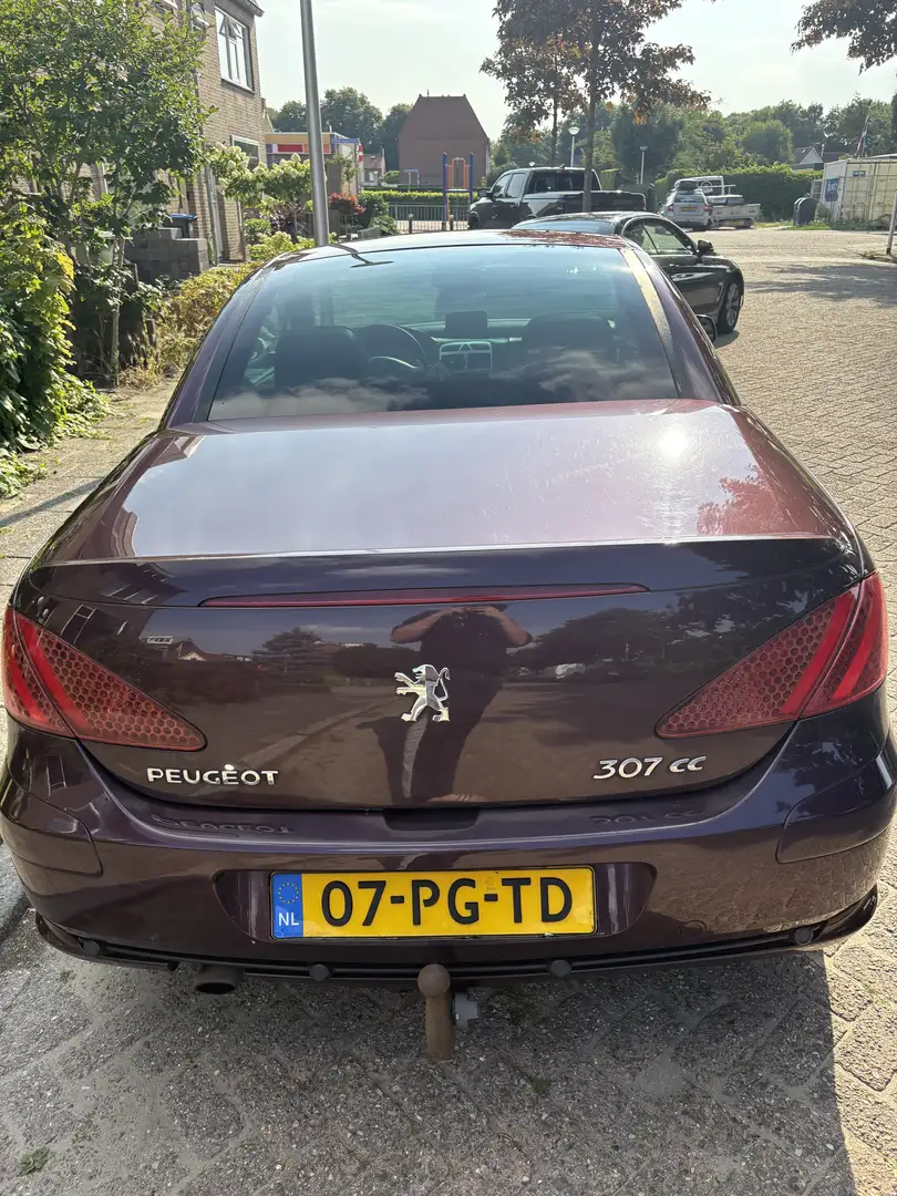 Peugeot 307 2.0-16V Paars - 2