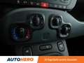 Fiat Panda 1.2 Easy *KLIMA*GARANTIE* Rot - thumbnail 23