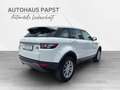 Land Rover Range Rover Evoque 2,2 eD4 Blanco - thumbnail 5
