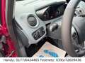 Ford Fiesta 1,25 KLIMA/4xel.FH/PDC/ALU/ALLWETTER Mauve - thumbnail 11
