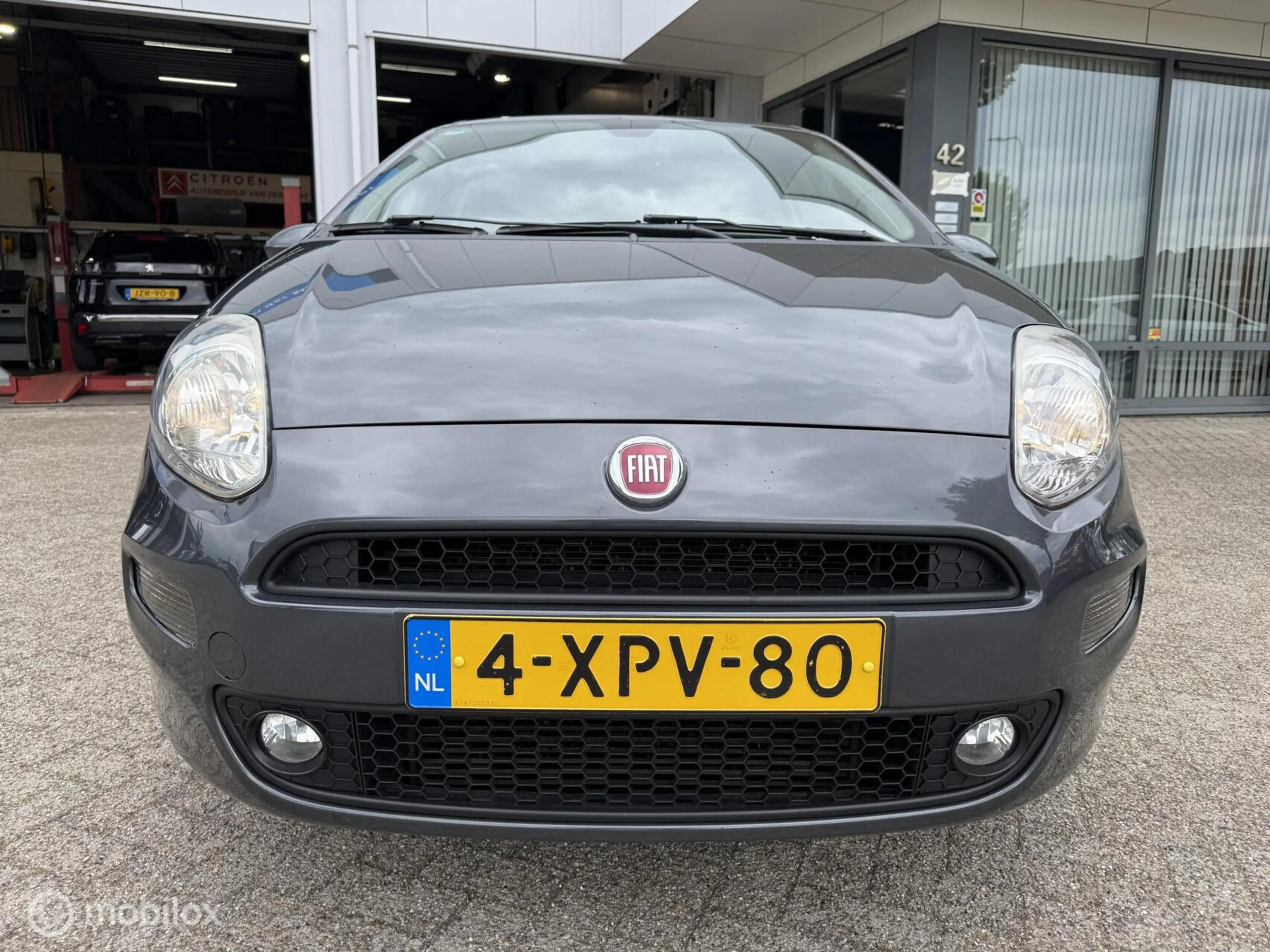 Fiat Punto Evo 0.9 TwinAir Lounge — photo 2