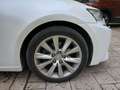 Lexus IS 300 300h Executive Tecno + Navibox Blanco - thumbnail 15