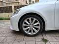 Lexus IS 300 300h Executive Tecno + Navibox Blanco - thumbnail 14