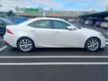 Lexus IS 300 300h Executive Tecno + Navibox Blanco - thumbnail 5