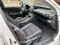 Lexus IS 300 300h Executive Tecno + Navibox Blanco - thumbnail 9
