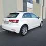 Audi A3 1.6TDI S tronic 85kW Blanco - thumbnail 6