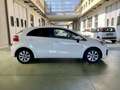 Kia Rio 5p 1.1 crdi Active E6 Bianco - thumbnail 6