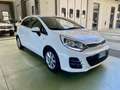 Kia Rio 5p 1.1 crdi Active E6 Bianco - thumbnail 1