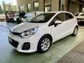 Kia Rio 5p 1.1 crdi Active E6 Bianco - thumbnail 7