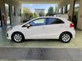 Kia Rio 5p 1.1 crdi Active E6 Bianco - thumbnail 4