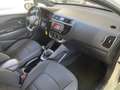 Kia Rio 5p 1.1 crdi Active E6 Bianco - thumbnail 14
