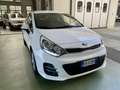 Kia Rio 5p 1.1 crdi Active E6 Bianco - thumbnail 10