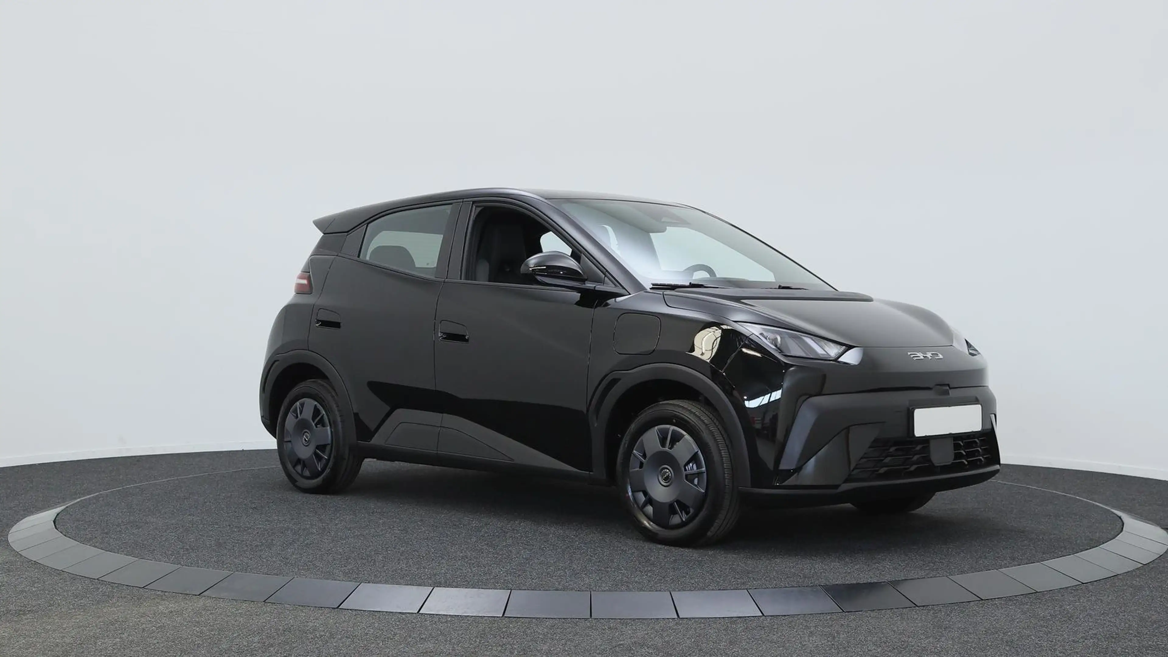 BYD Dolphin Surf Active 30 kWh / Navi / ACC / PDC H + Kamera / Klim — photo 4