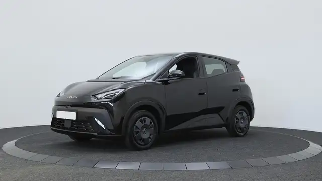 BYD Dolphin Surf