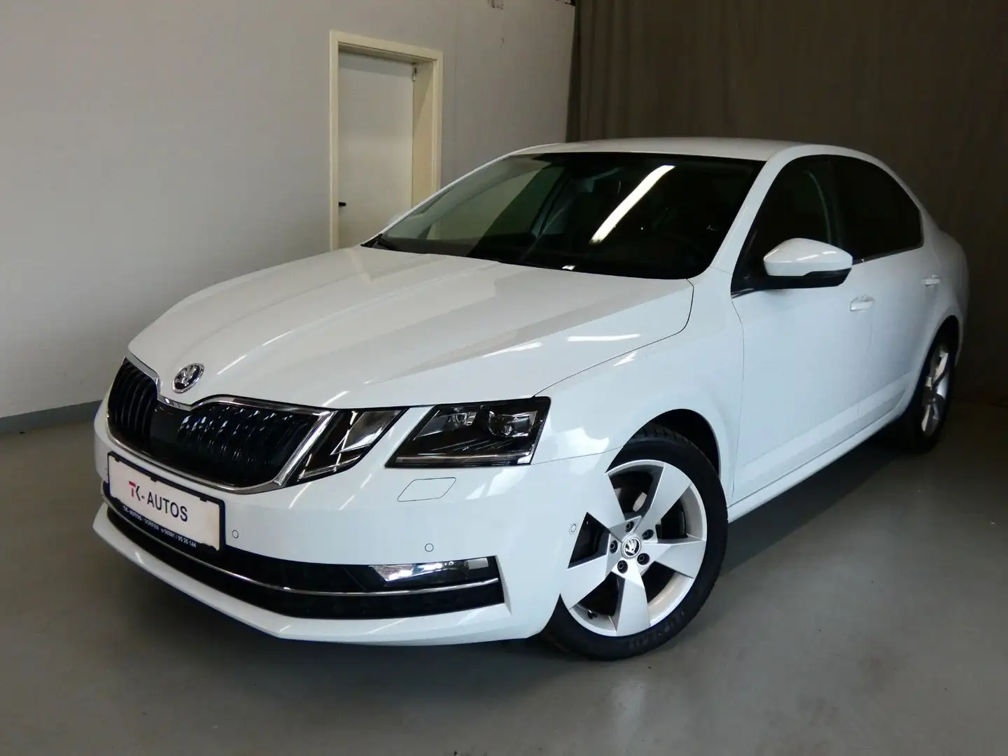 Skoda Octavia 2.0 TDI Pre-Edit.,Navi,Leder,LED,ACC,AHK Blanc - 1
