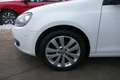 Volkswagen Golf VI 6 1.2 TSI Klimaautomatik Schiebedach Einparkhil Weiß - thumbnail 6